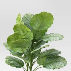 Large Variegated Plant - Threshold™ -Threshold GUEST 6d6d20b1 7bd4 4e59 9a8f bd6812046ca6