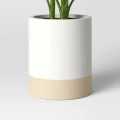 Large Variegated Plant - Threshold™ -Threshold GUEST 7d5c4722 8e80 4f51 9089 0f72358617e5