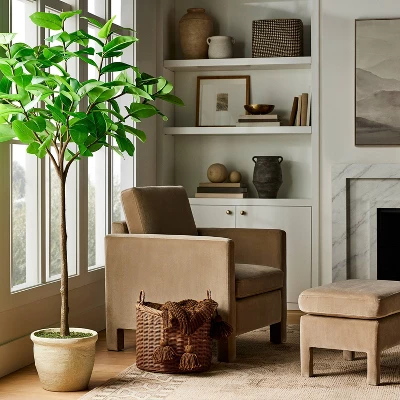 Ficus Tree - Threshold™ Designed With Studio McGee 3 Ficus Tree - Threshold™ Designed With Studio McGee